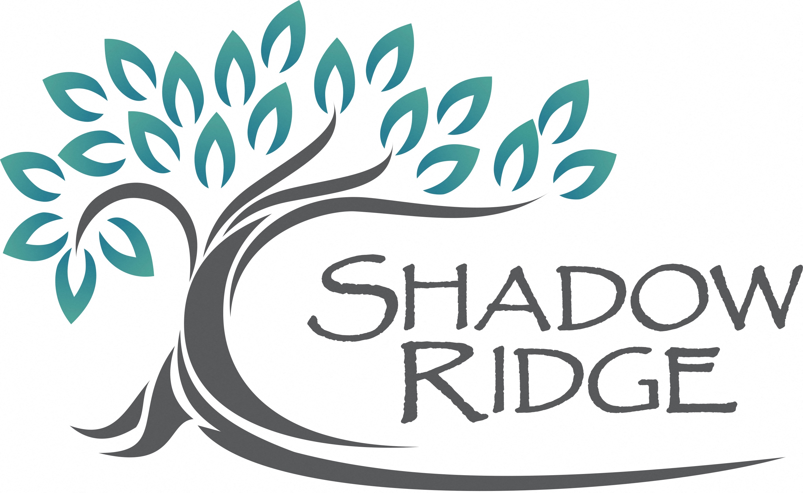 Shadow Ridge Apartments photo 2